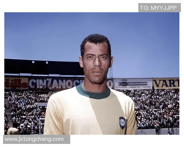 11月出生的足球巨星盘点：从传奇到现役，谁最具影响力